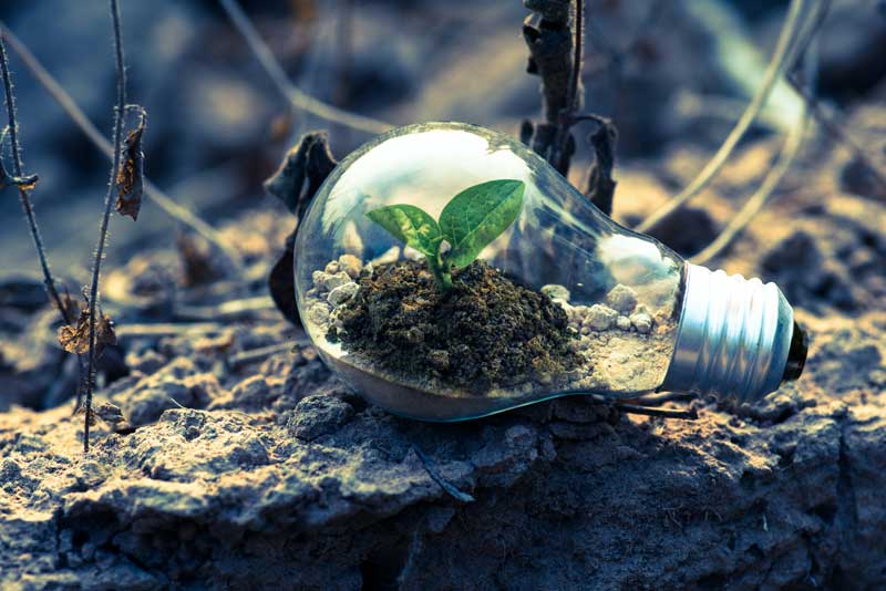 Lampadina-verde-decreto-ripartenza